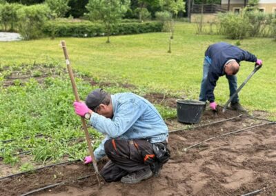 Sadzenie ogrodu warzywnego – początki